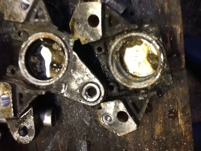 Ooher dosen't look healthy.